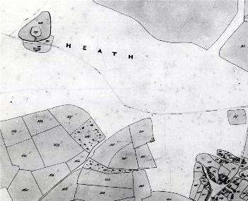 Craddocks top left, Heath Green bottom right from the 1841 Inclosure map